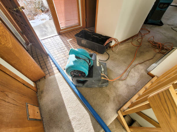 Best Water damage restoration specialists  in Cataula, GA