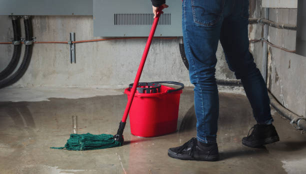Best Local water damage restoration  in Cataula, GA