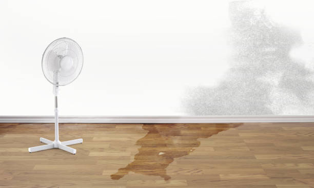 Best Ceiling water damage repair  in Cataula, GA