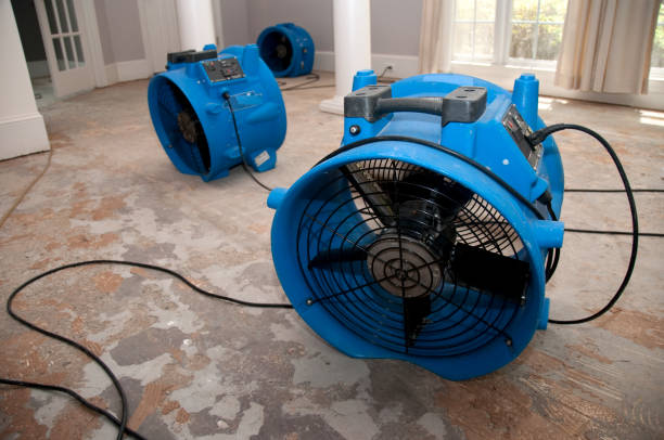 Best Professional water damage repair  in Cataula, GA