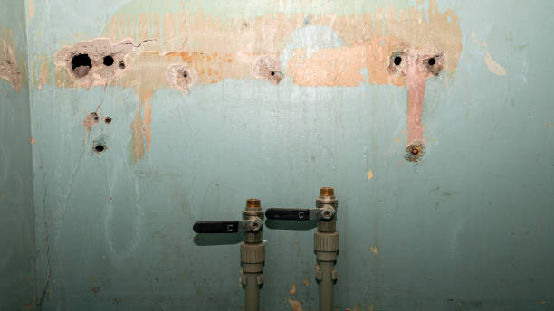 Best Fire Damage Restoration  in Cataula, GA