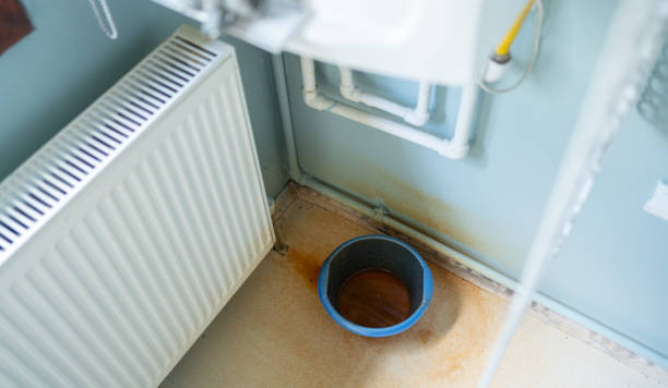 Best Mold removal after water damage  in Cataula, GA