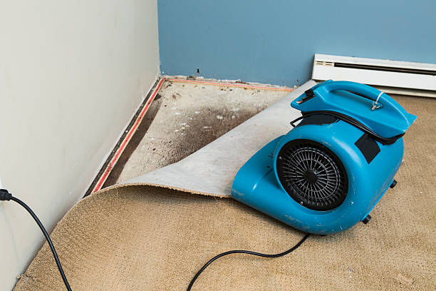 Best Basement water damage restoration  in Cataula, GA